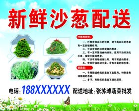 新鲜沙葱