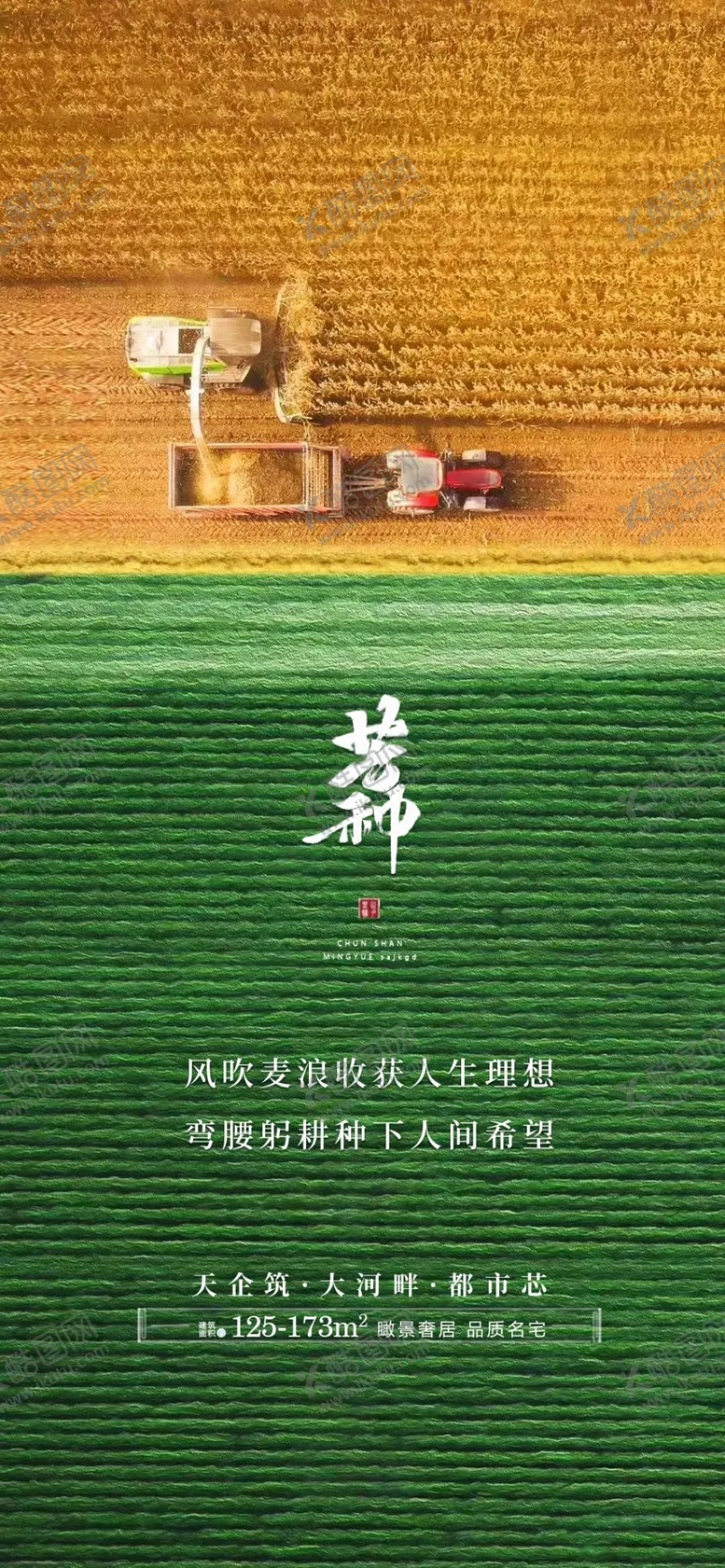 编号：58094609190928006492【酷图网】源文件下载-芒种海报
