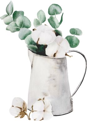 棉花壳