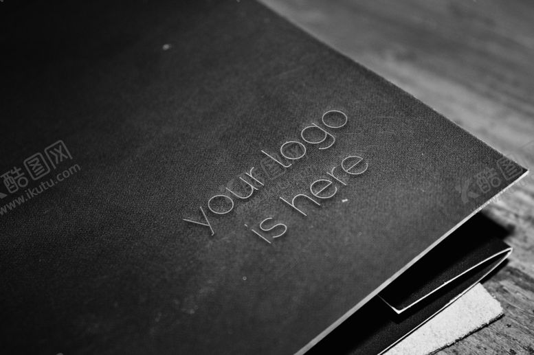 编号：24796310290839337267【酷图网】源文件下载-布料票夹LOGO样机