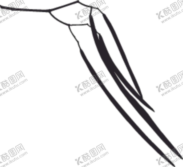 编号：27515809220744067436【酷图网】源文件下载-植物系列树叶