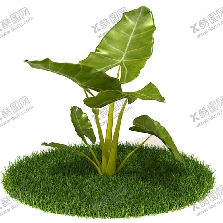 编号：83349712230638184391【酷图网】源文件下载-C4D模型植物