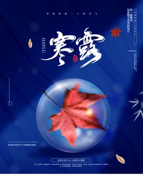 寒露海报白简约海报