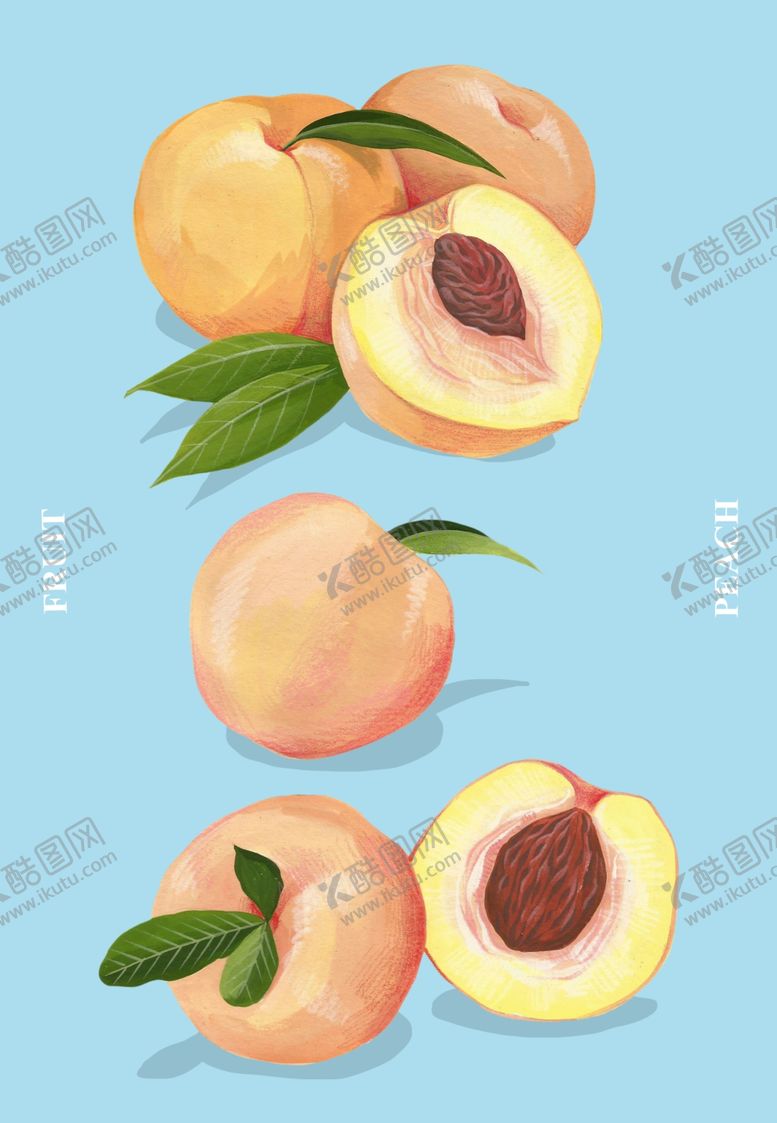 编号：37321606231552311350【酷图网】源文件下载-桃子手绘插画