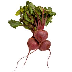 甜菜