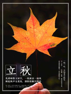 立秋