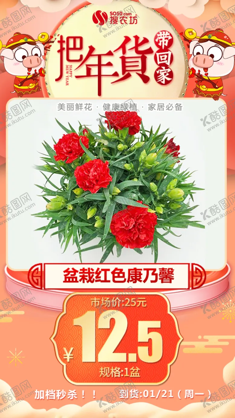 编号：20836304261107553504【酷图网】源文件下载-年货秒杀盆栽红色康乃馨1盆
