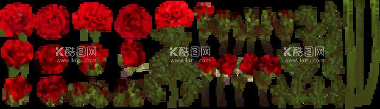 编号：64098109281106143074【酷图网】源文件下载-玫瑰花