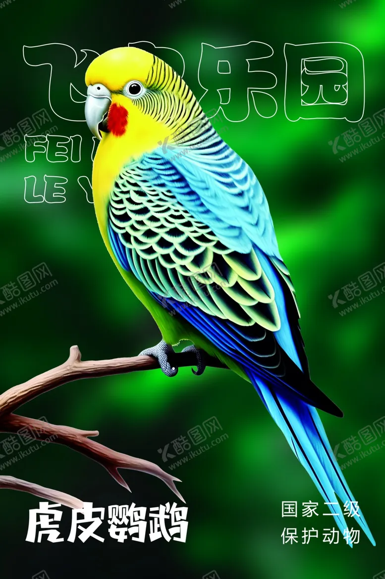 编号：55256401200715583810【酷图网】源文件下载-虎皮鹦鹉