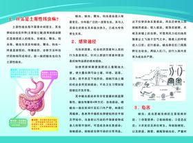 土源性线虫防治宣传资料三折页