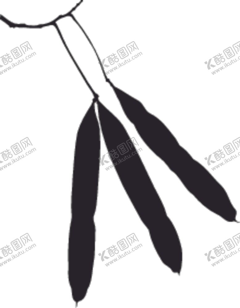 编号：58593009220739265892【酷图网】源文件下载-植物系列树叶