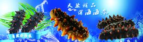 创意海参海鲜海报