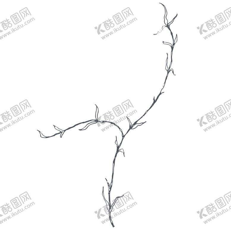 编号：31927607131309403465【酷图网】源文件下载-手绘植物