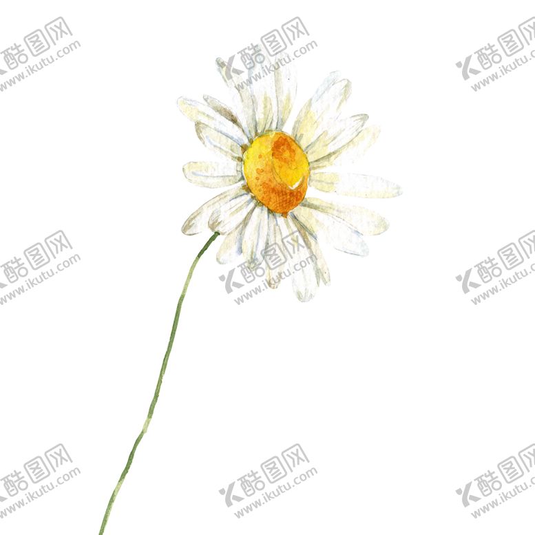 编号：90258510280215207935【酷图网】源文件下载-手绘植物