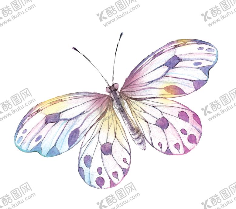 编号：34343910140147512935【酷图网】源文件下载-蝴蝶素材