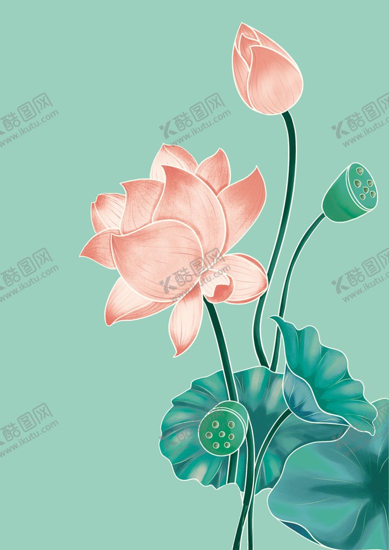 编号：48968010170538029546【酷图网】源文件下载-荷花