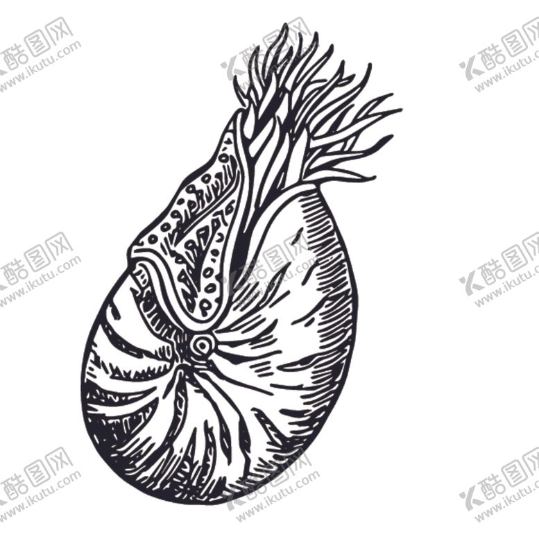 编号：58894310180323059318【酷图网】源文件下载-海洋生物鱼类图案