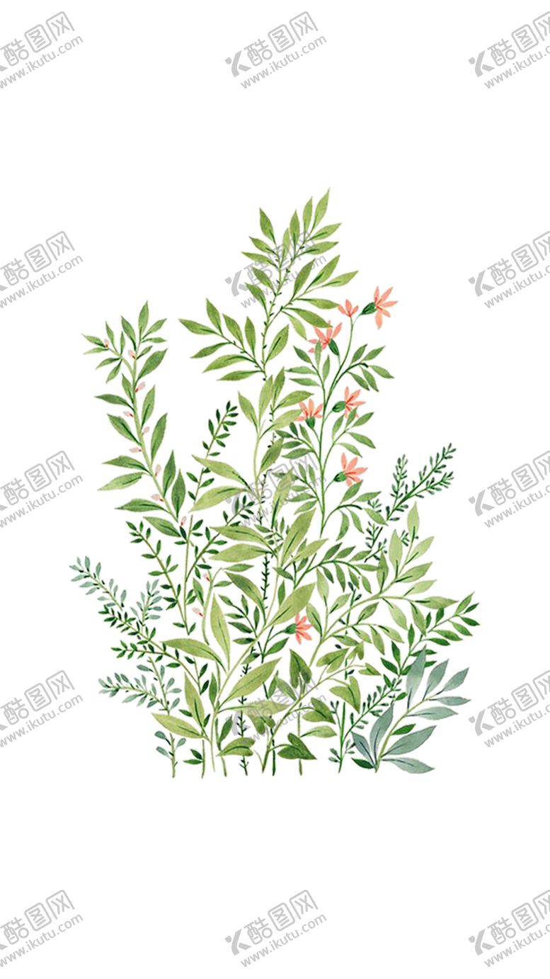 编号：46488110300149065750【酷图网】源文件下载-绿色植物