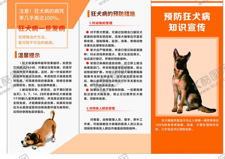 编号：59990001311316102243【酷图网】源文件下载-狂犬病三折页