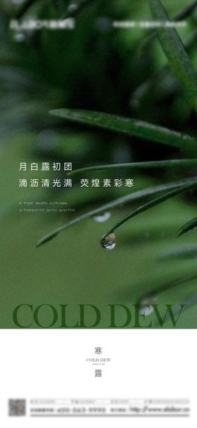 寒露节气海报