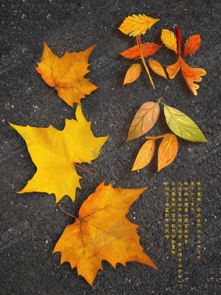 编号：41226510171707291491【酷图网】源文件下载-中国传统二十四节气秋分落叶海报