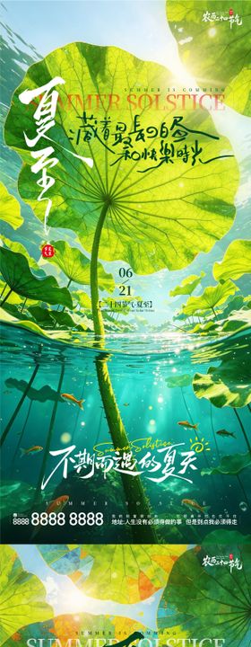 夏至节气清新宣传海报