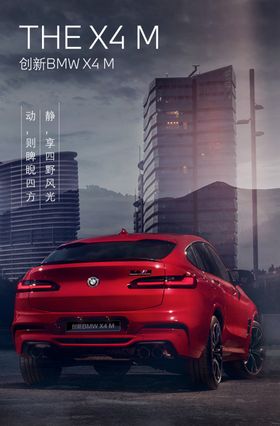 宝马X4M