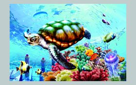 游鱼海底世界海龟圆形挂画装饰画