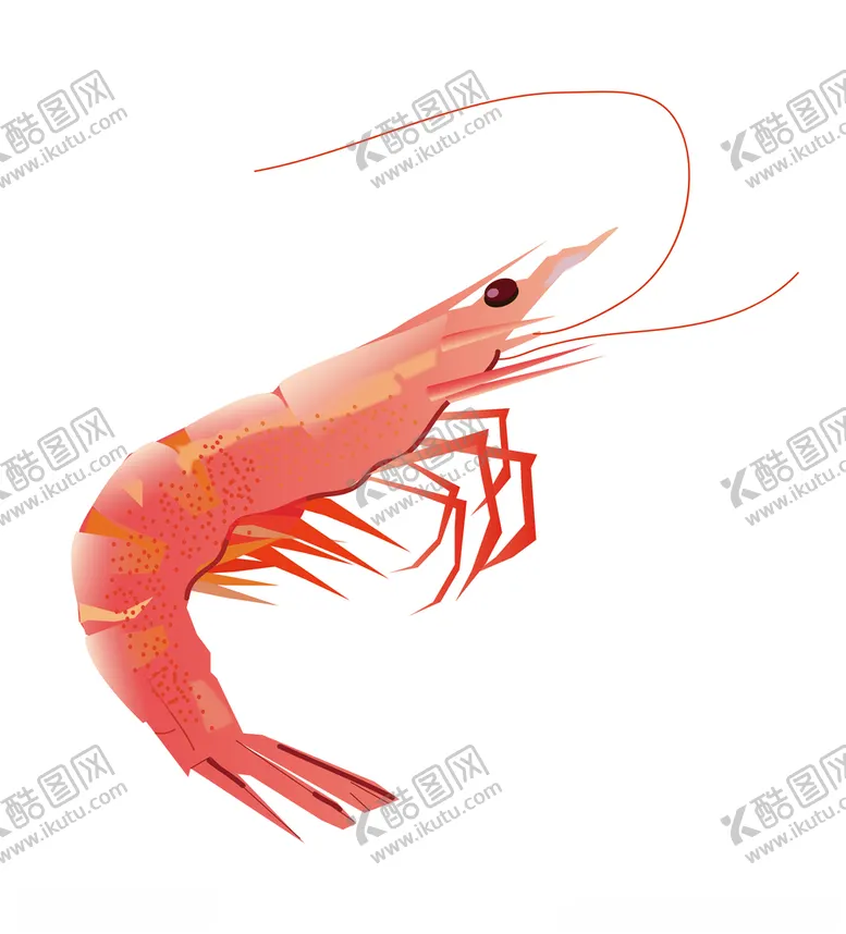 编号：88931305051648574756【酷图网】源文件下载-手绘皮皮虾海鲜插画