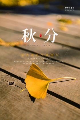 立秋海报