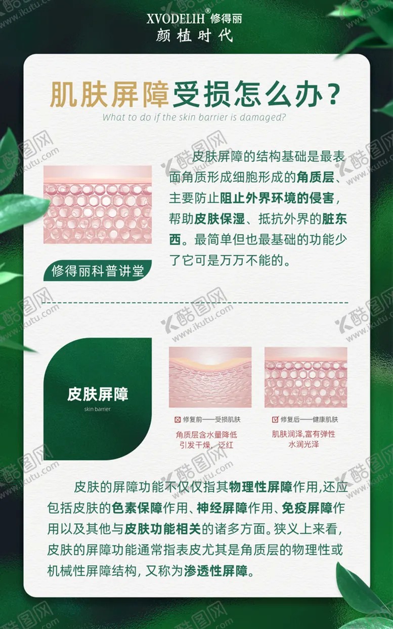 编号：64802909190402432198【酷图网】源文件下载-美容院专业知识科普海报