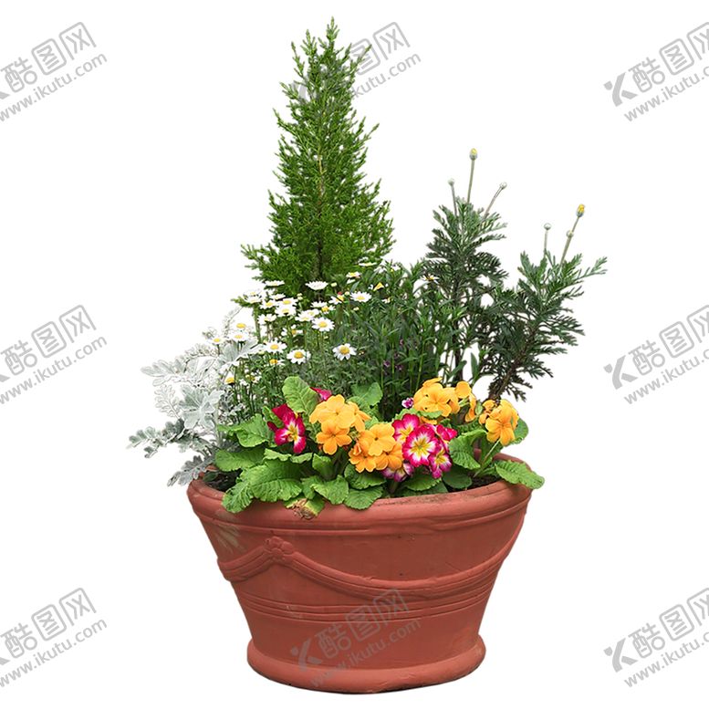 编号：22020710280831347294【酷图网】源文件下载-绿色植物