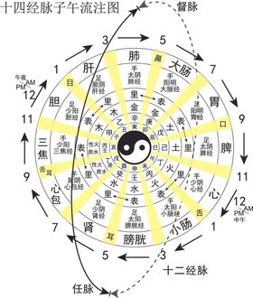 中医的子午流注