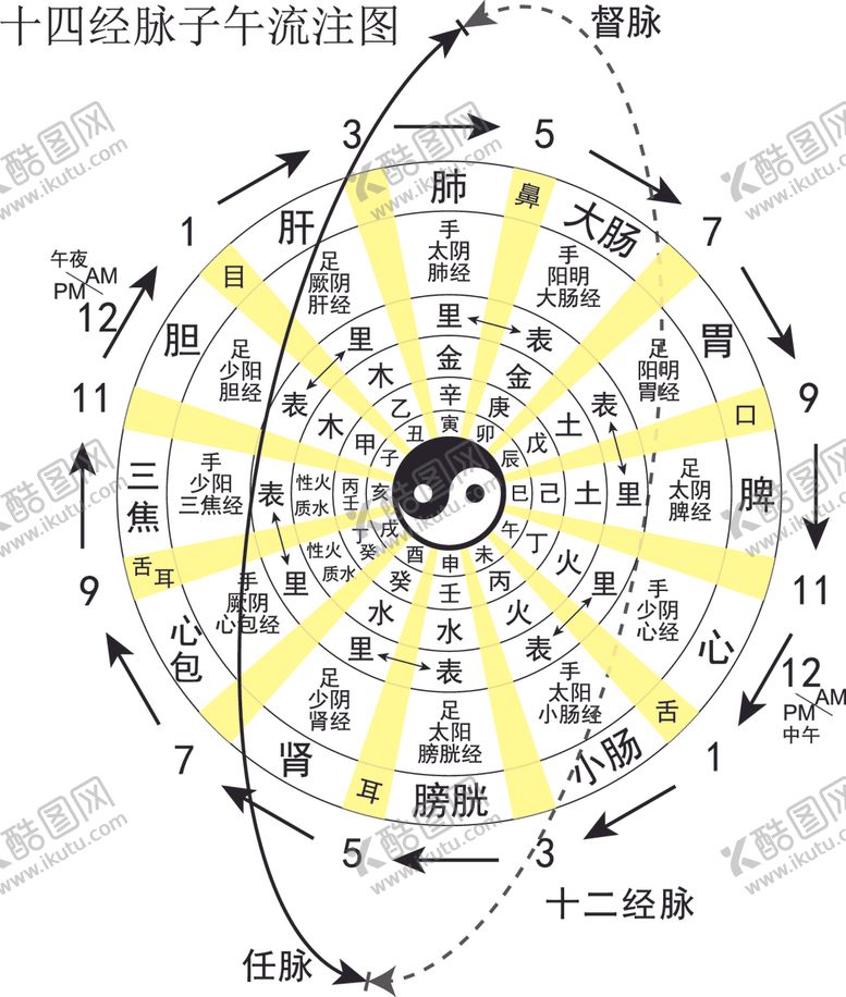 编号：80074101260005251931【酷图网】源文件下载-十二正经奇经八脉子午流注图