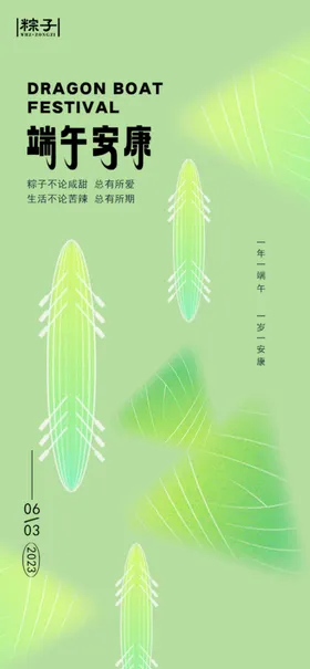 端午节浓情惠五月初五展板粽飘香