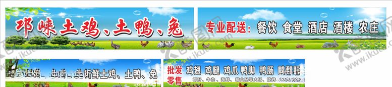 编号：72336707032240176390【酷图网】源文件下载-鸡鸭店招