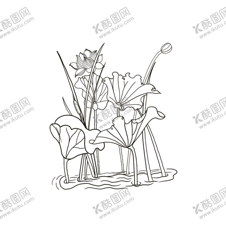 编号：85247903120919482915【酷图网】源文件下载-荷花