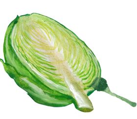 蔬菜