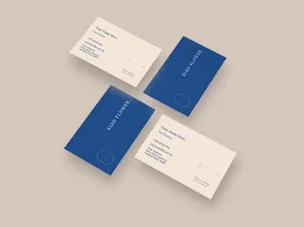 LOGO展示样机素材品牌VIlogo包装