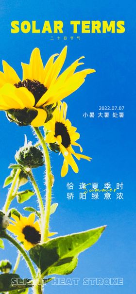 小暑大暑处暑节气海报