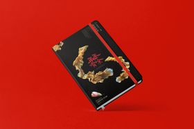 智能样机提案高端产品UI