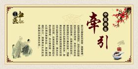 牵引中医养生