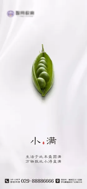二十四节气海报 小满海报