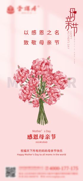 母亲节感恩康乃馨简约海报