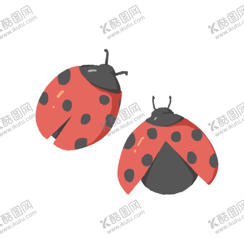 编号：39114207010057148488【酷图网】源文件下载-手绘瓢虫插画