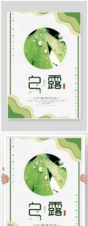 白露节气清新海报