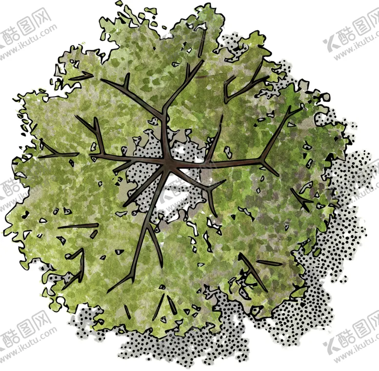 编号：49596606281739043981【酷图网】源文件下载-手绘植物