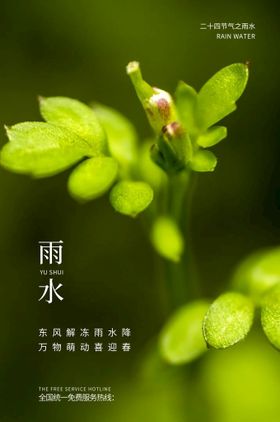 雨水24节气