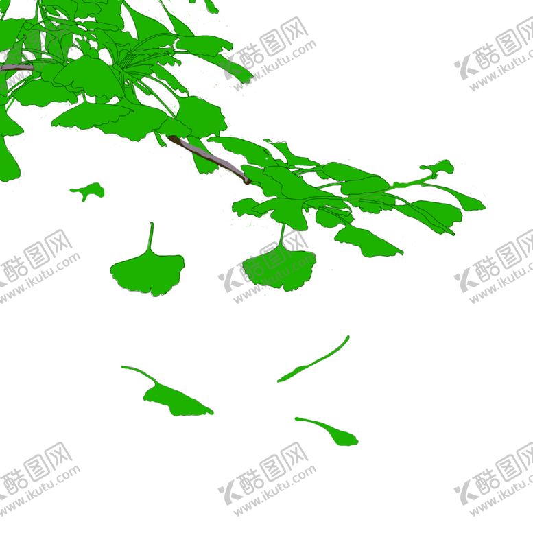 编号：46665109211105233452【酷图网】源文件下载-秋天银杏叶