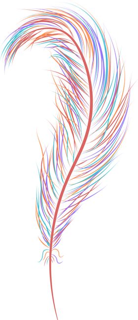 羽毛素材大牌鸟轻柔